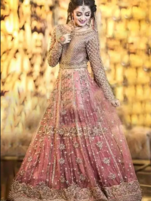 Bridal Net embroidery maxi with net embroidery Duppata