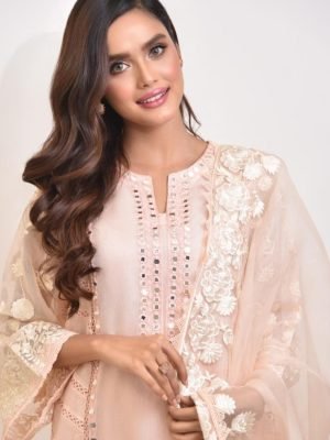 Agha Noor Embroidery Suite